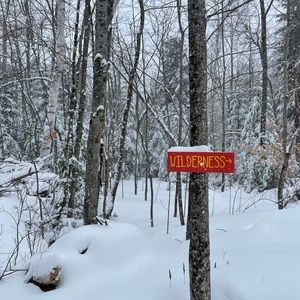 Meet your Posher, Sally